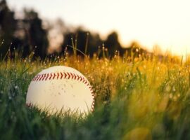 The Business of Spring Training Baseball