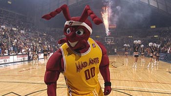 Fort Wayne Mad Ants