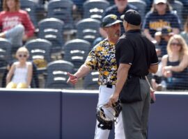 Call the Shots! How to Become a College Baseball Coach.