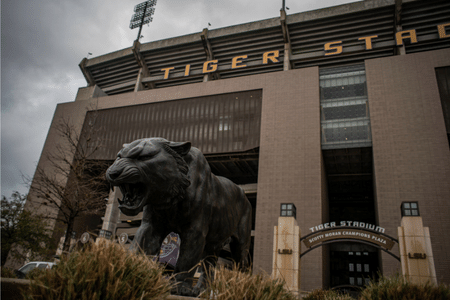 LSU Tigers