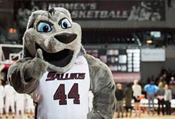 Southern Illinois Salukis