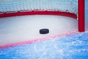 sports management jobs in the nhl