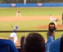 How to Get a Job in Baseball: A Complete Guide